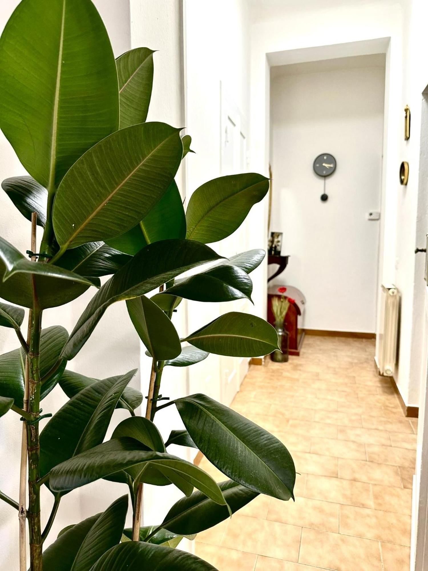 הוילה פיזה Casa Ganza מראה חיצוני תמונה